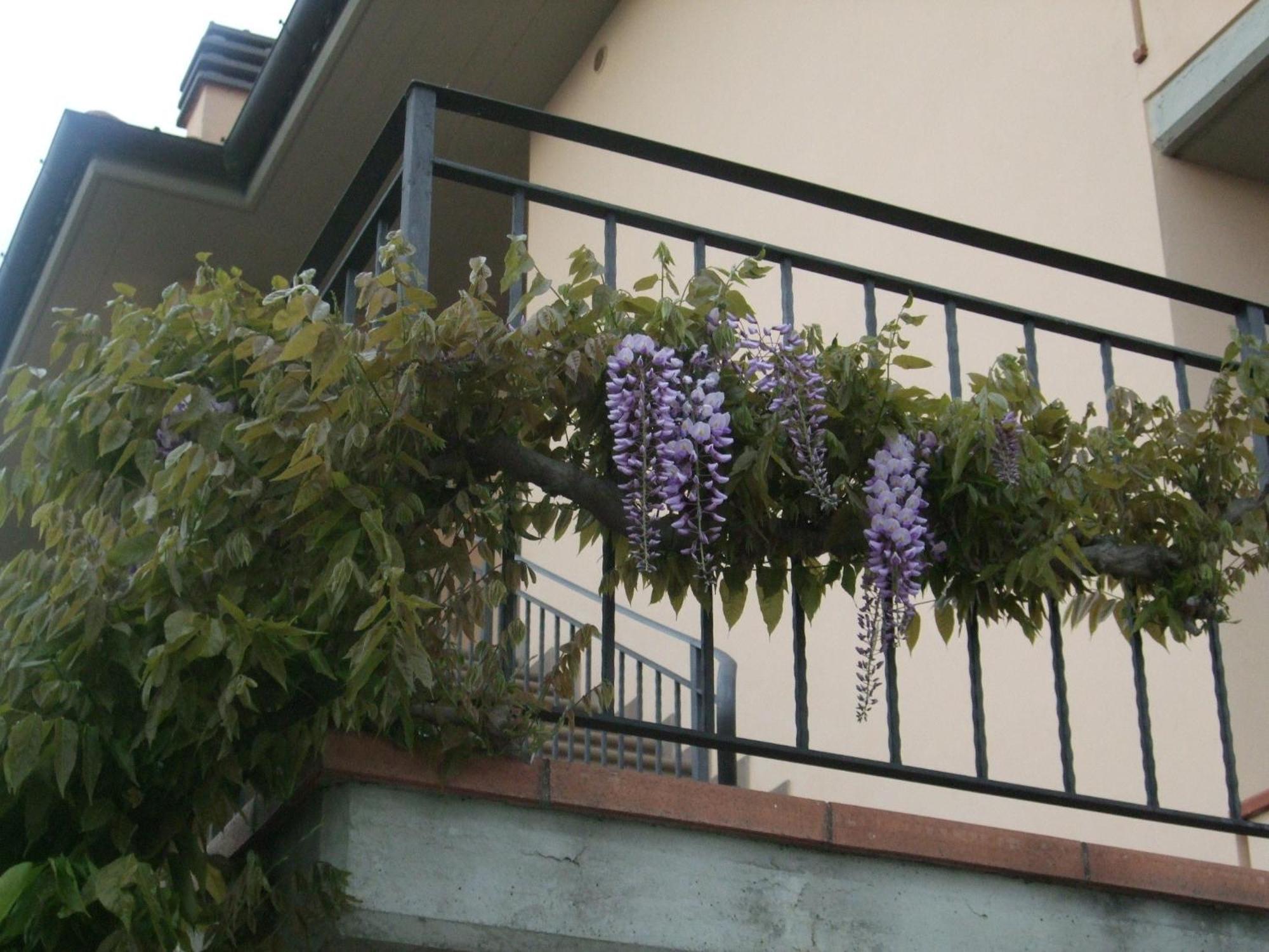 B&B La Casa Di Zefiro Limite Екстер'єр фото